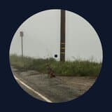 14 minutes by Dominic Fike